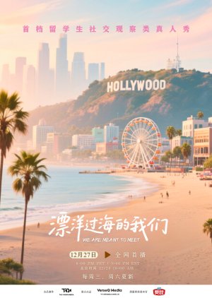 We Are Meant to Meet (2025)